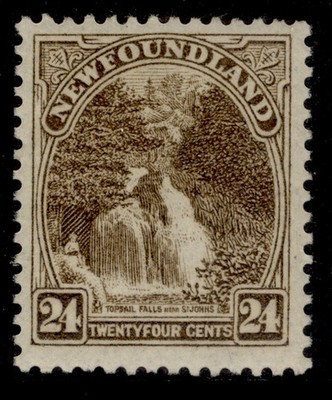 canada-newfoundland-gv-sg162-24c-sepia-m-mint-cat-75