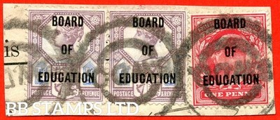 sg-o81-sg-o84-l41-mo24-5d-dull-purple-blue-die-ii-1d-scar-b85919