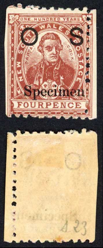 nsw-sgo41s-4d-purple-brown-m-m-opt-specimen
