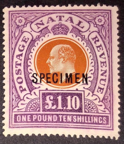 natal-sg162s-1-10-brown-orange-purple-specimen-fine-mng-cv-for-mh-375