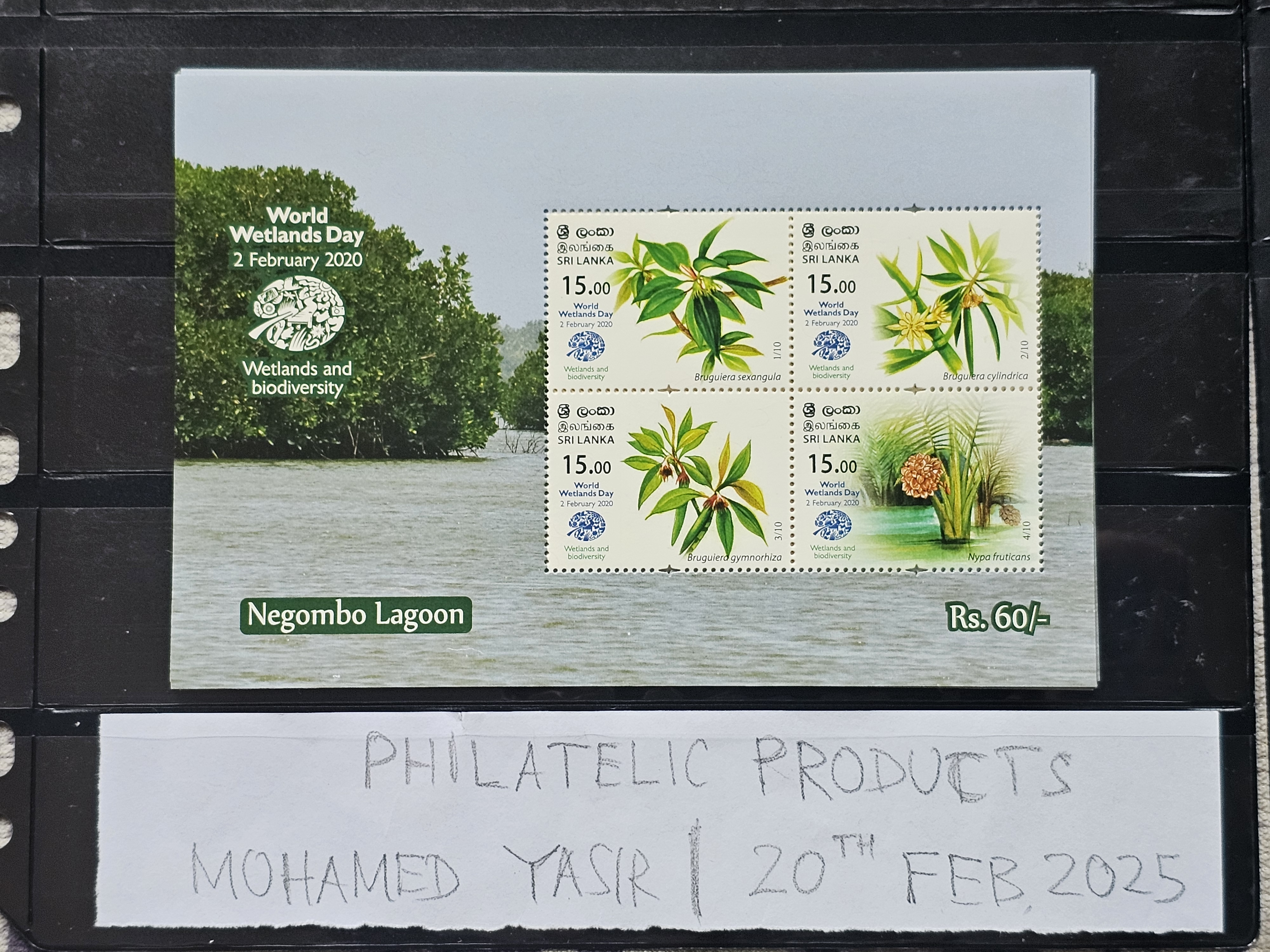 world-wetland-day-2020-negombo-lagoon-sri-lanka-ms-mnh-flora-flowers-plants