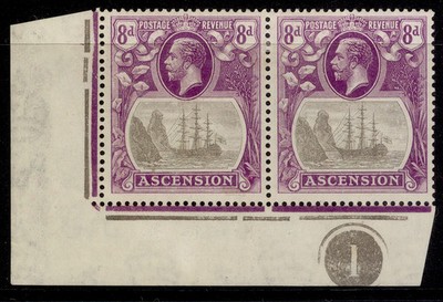 ascension-gv-sg17c-8d-cleft-rock-in-conrol-pair-m-mint-cat-300