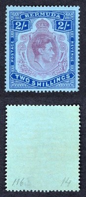 bermuda-sg116d-2-purple-and-deep-blue-pale-blue-superb-u-m-cat-13-pounds