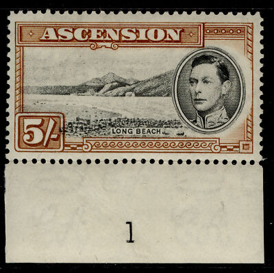 ascension-gvi-sg46-5s-black-yellow-brown-m-mint-cat-95-perf-13-control