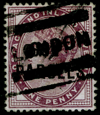 sgo69-1d-lilac-used-cat-30