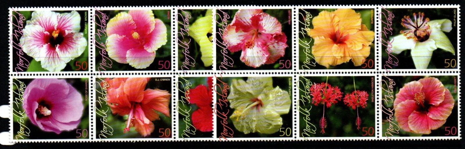 norfolk-island-sg928-39-2005-hibiscus-varieties-mnh