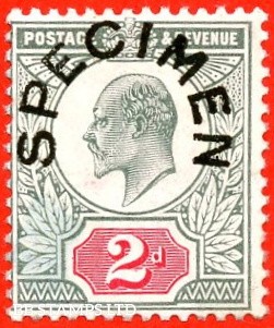 sg-227s-m12-1-s-2d-pale-grey-green-carmine-red-an-unmounted-min-b93610