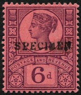 6d-sg-208s-ovpt-specimen-type-9-fine-fresh-m-m-c-65