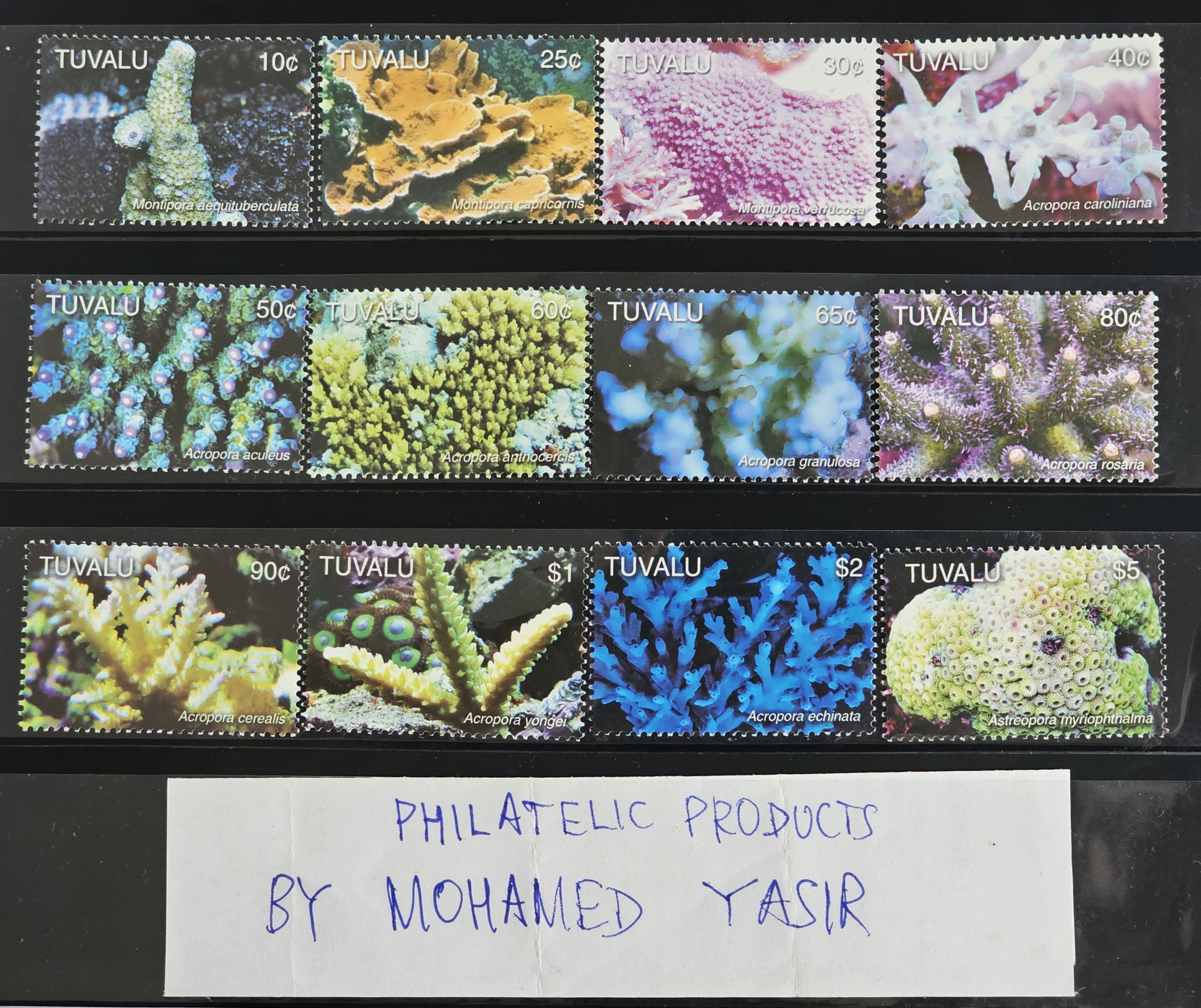 tuvalu-2006-corals-mnh-wwf-oceania-marine-life-animals-fauna