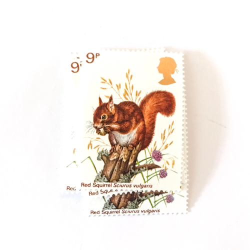 5-x-red-squirrel-unused-gb-9p-1977-mint-mnh-vintage-postage-stamps