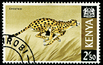 kenya-sg32-2s50-yelow-black-olive-brown-fine-used-cds