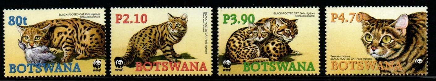 botswana-sg1040-3-2005-endangered-species-black-footed-cat-mnh