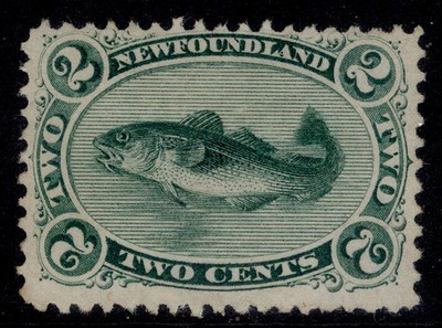 canada-newfoundland-qv-sg31-2c-bluish-green-unused-cat-130