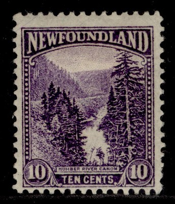 canada-newfoundland-gv-sg157-10c-violet-m-mint-cat-18