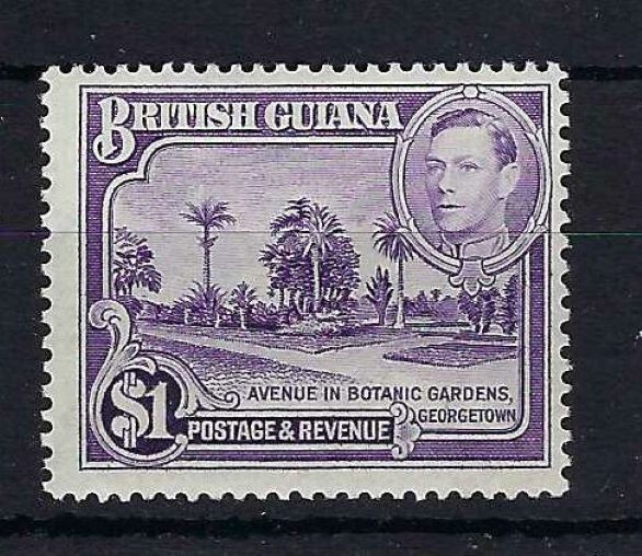 british-guiana-sg317a-1951-1-bright-violet-p14x13-mtd-mint