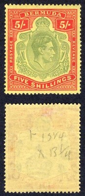 bermuda-sg118-5-green-and-red-yellow-m-m-cat-100-pounds