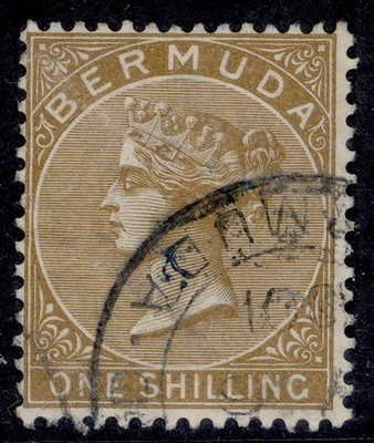bermuda-qv-sg29b-1s-olive-brown-fine-used-cat-26