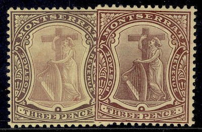 montserrat-edvii-sg40-40a-3d-shade-varieties-m-mint