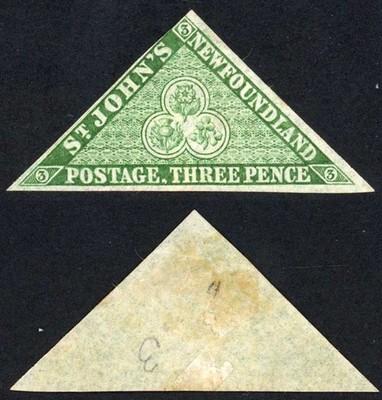 newfoundland-sg11-3d-green-m-m-cat-130-pounds